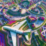 باغ معجزه دبی | تونل‌های گل در دبی | بزرگ‌ترین باغ گل جهان در دبی