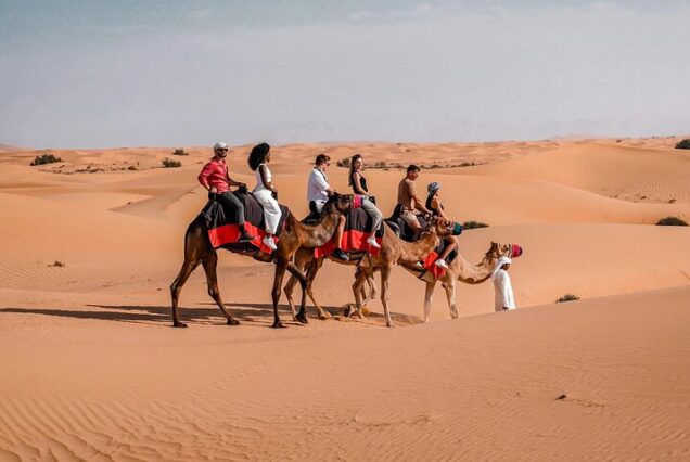 تور سافاری VVIP کمپ عربی دبی | لوکس‌ترین سافاری امارات + شام بین‌المللی