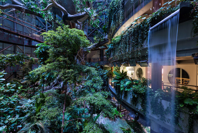 رزرو آنلاین بلیط سیاره سبز دبی (The Green Planet) – تجربه جنگل استوایی با تخفیف ویژه