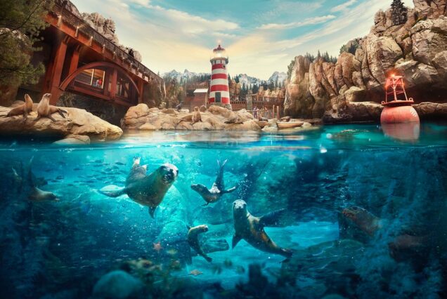 خرید بلیط سی ورلد ابوظبی – رزرو آنلاین بزرگترین پارک تفریحی دریایی با آفر ویژه